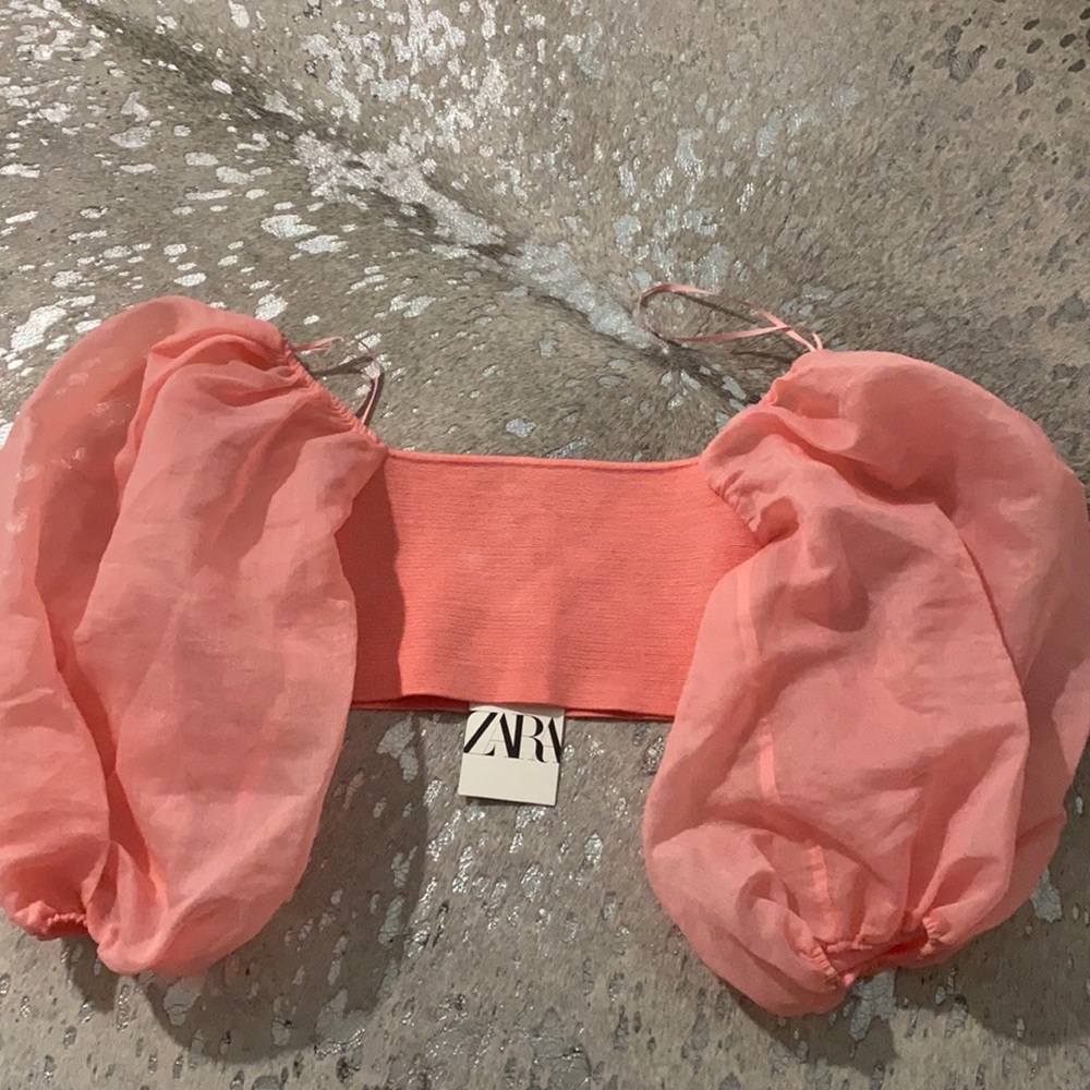 Never Worn: Tags On: Zara Crop Top